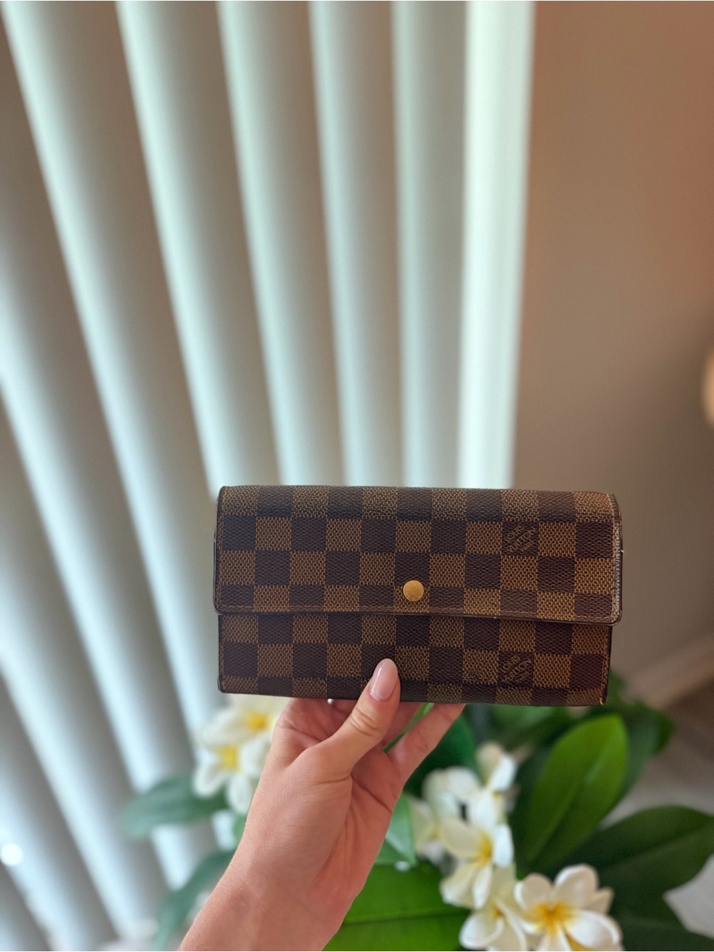 Louis Vuitton Epene Damier Women's Wallet Clutch